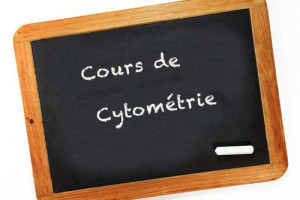 Cours de CMF