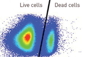 Des colorants de viabilité