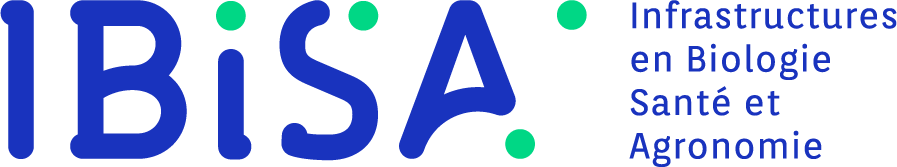 logo_ibisa.png